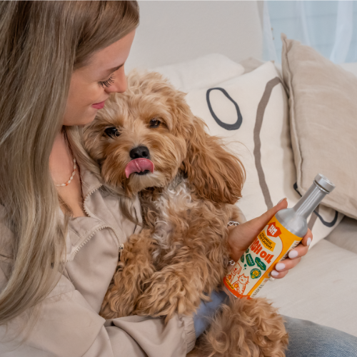Why Your Pet Needs Omega-3 Fish Oil: The Ultimate Health Boost