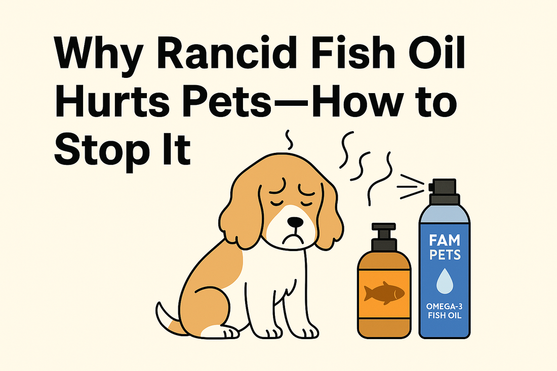 Why Rancid Fish Oil Hurts Pets—How to Stop It