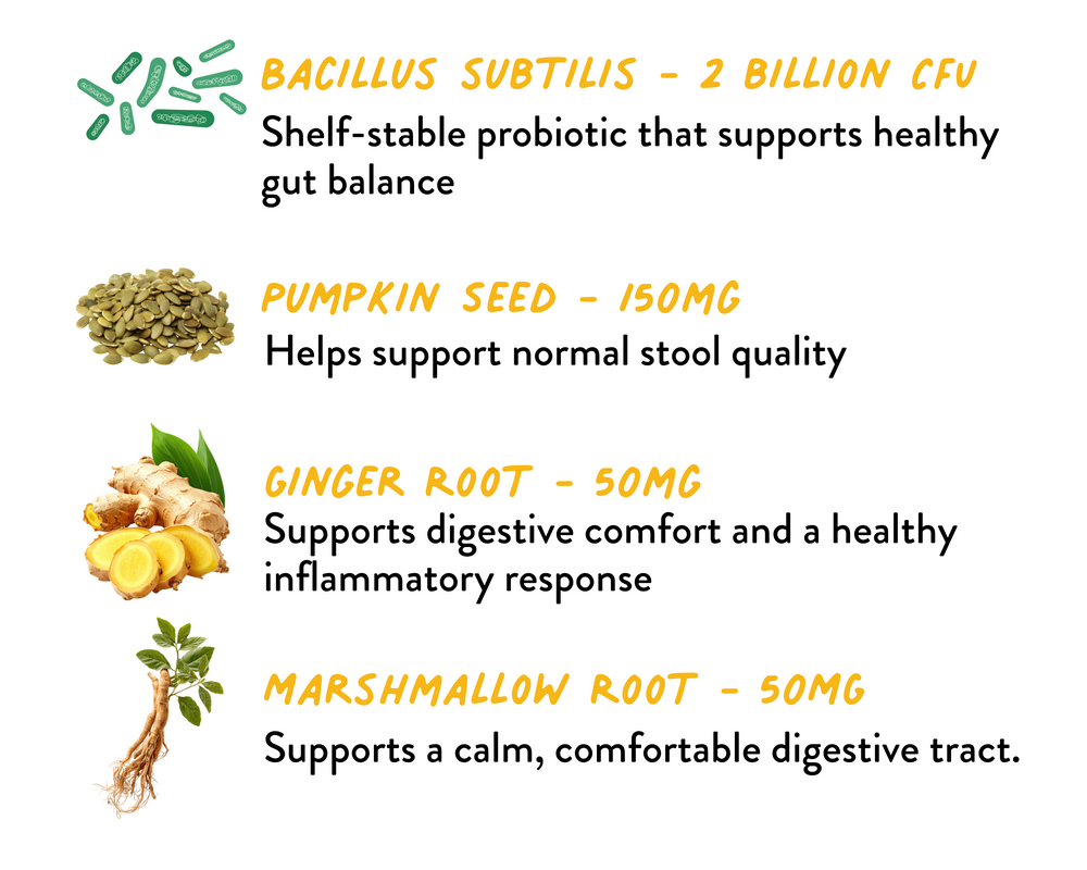 Probiotic+ dog chew ingredients including Bacillus subtilis, pumpkin seed, ginger and marshmallow root