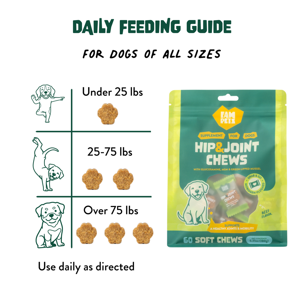 Hip & Joint Soft Chews for Dogs, Glucosamine, MSM & Chondroitin, 60 Count