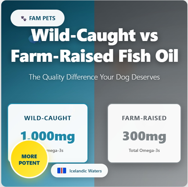 Wild-Caught vs Farm-Raised Fish Oil: The Quality Difference Your Dog Deserves