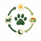 Daily routine icon