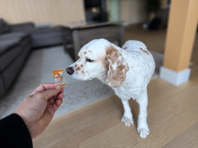 Probiotic+ Chews