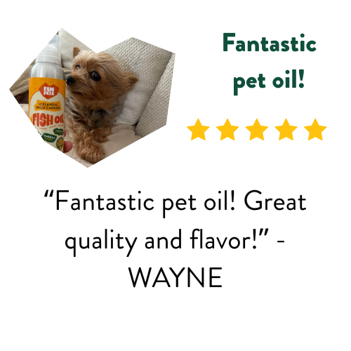best fish oil for dogs