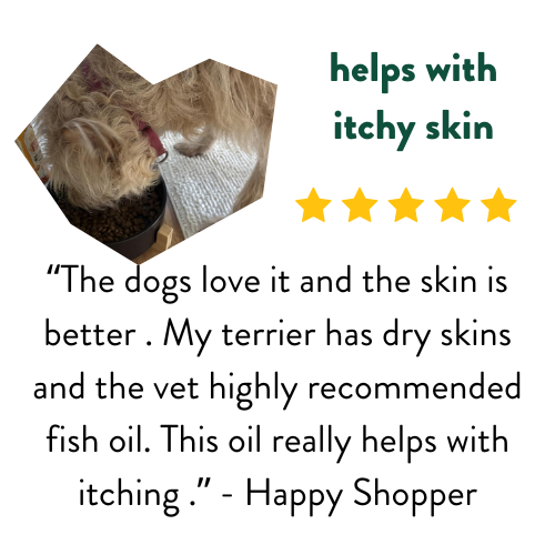 fish oil for dogs