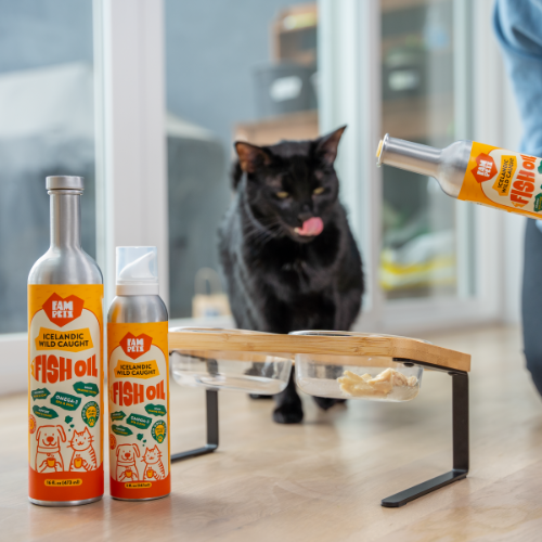 fish oil cats