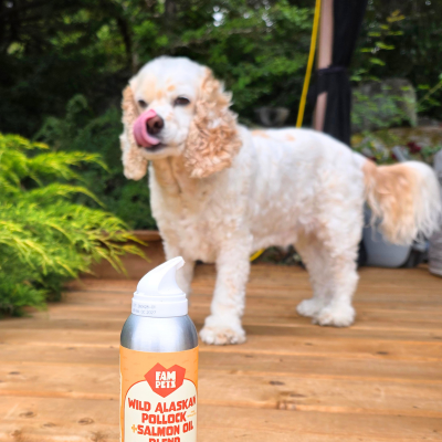Steven, FAM Pets Chief Dog Officer