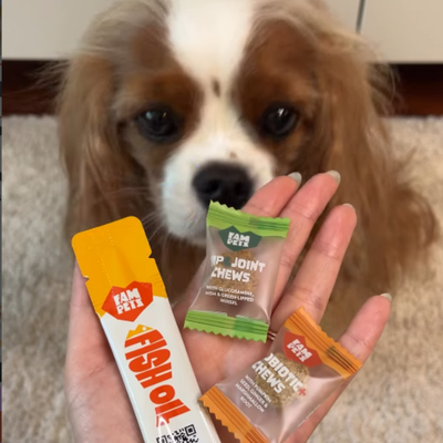 FAM Pets community photo