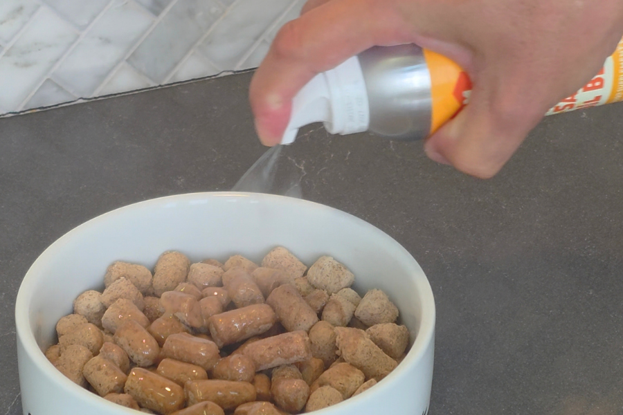 FAM Pets airless spray solution