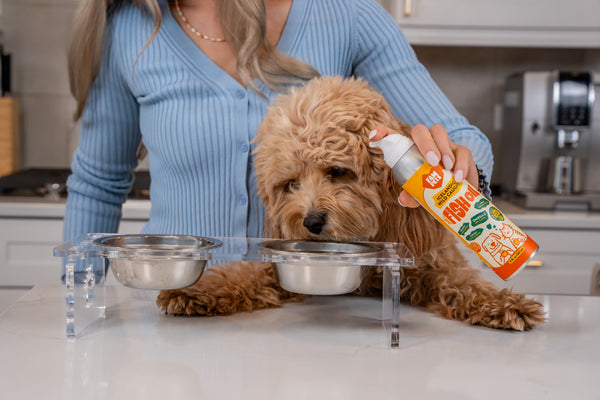 Fam Pets Fish Oil Spray
