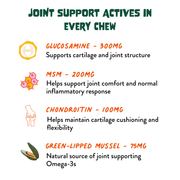 Dog joint supplement actives including glucosamine, MSM, chondroitin and green-lipped mussel