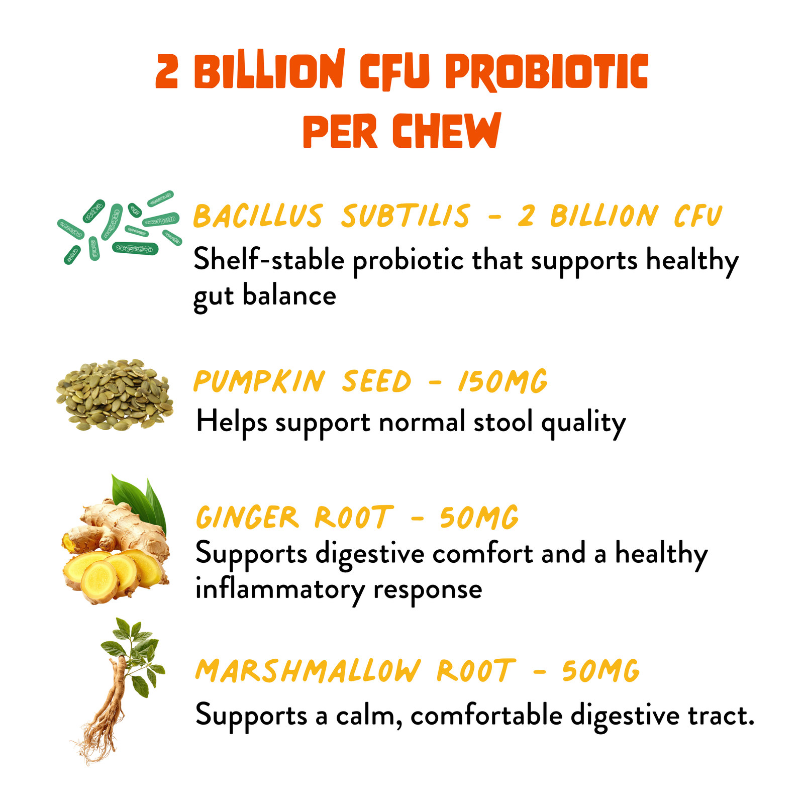 Probiotic+ dog chew ingredients including Bacillus subtilis, pumpkin seed, ginger and marshmallow root