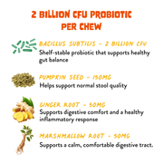 Probiotic+ dog chew ingredients including Bacillus subtilis, pumpkin seed, ginger and marshmallow root