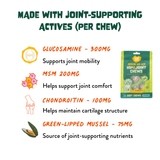 Hip & Joint Soft Chews for Dogs - Glucosamine, MSM, Chondroitin