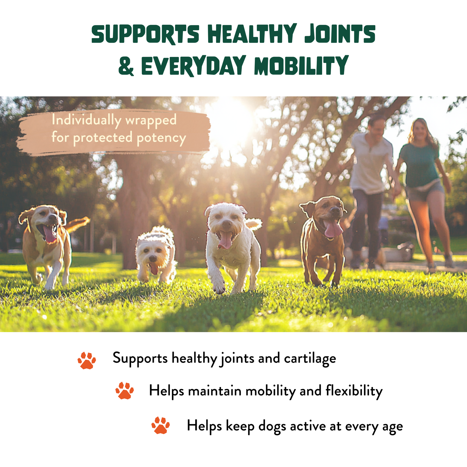FAM Pets Hip & Joint chews support healthy joints, cartilage, mobility and flexibility