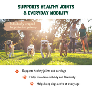 FAM Pets Hip & Joint chews support healthy joints, cartilage, mobility and flexibility