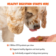 FAM Pets Probiotic+ chews support healthy digestion, stool quality and digestive comfort