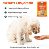Probiotic+ Soft Chews for Dogs - Digestive Support, Gut Health