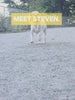 Steven's daily FAM Pets routine: fish oil spray, stick, both soft chews, and a real meal